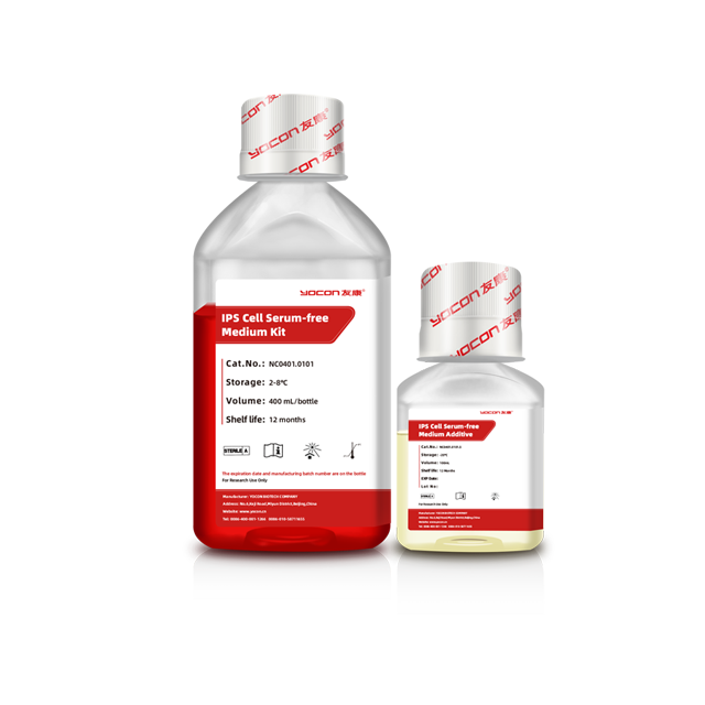 IPS Cell Cell Serum Serum Medium Kit