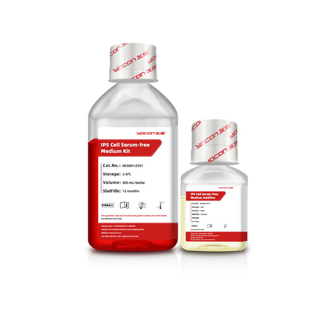 IPS Cell Cell Serum Serum Medium Kit