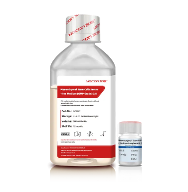 Руководство для начинающих по пониманию экзосом