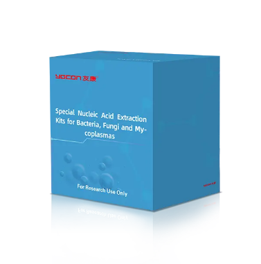 Как лучше всего обнаружить бактерии?