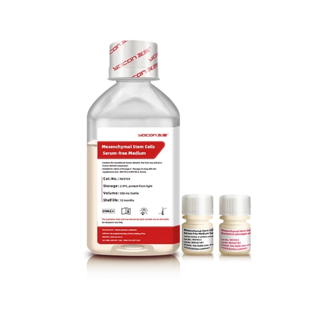 Почему среды для культивирования клеток класса GMP имеют решающее значение для клеточной терапии?