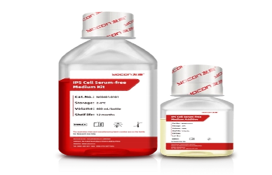 Руководство против автоматической иммунной клеточной культуры с закрытым контуром: что лучше?