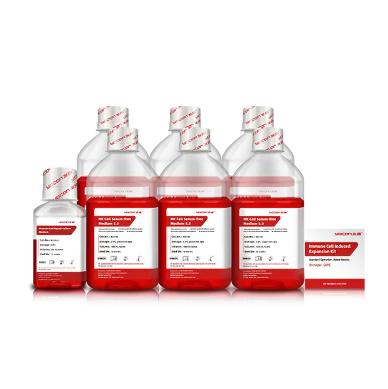 Что такое стрептопенициллин и его роль в современной медицине