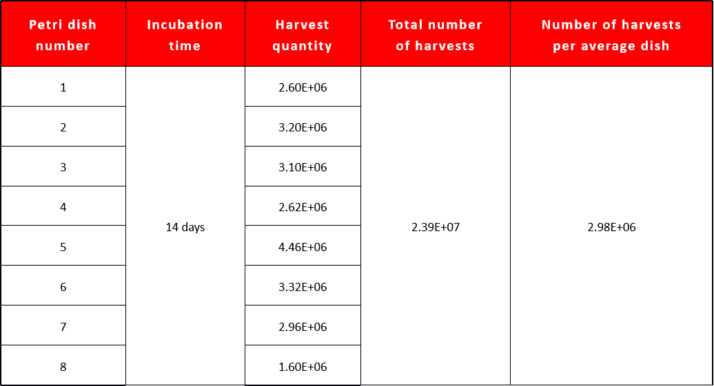 91da6a72a14b51672e7743224da250c7