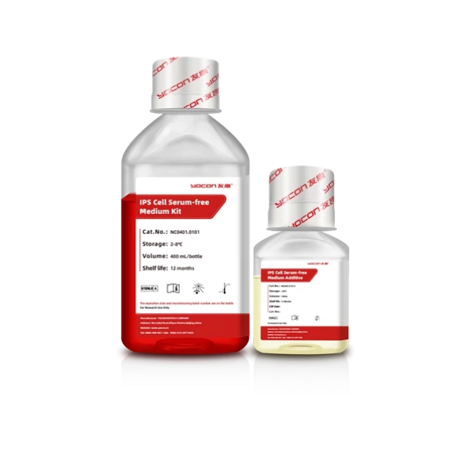 Как максимизировать жизнеспособность клеток после криоконсервации?