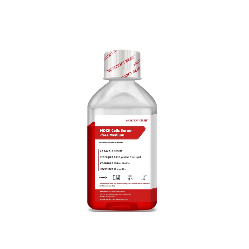 MDCK Клеточная культуральная среда-Сыворотка Бесплатная и определенная | Йокон Сотовый